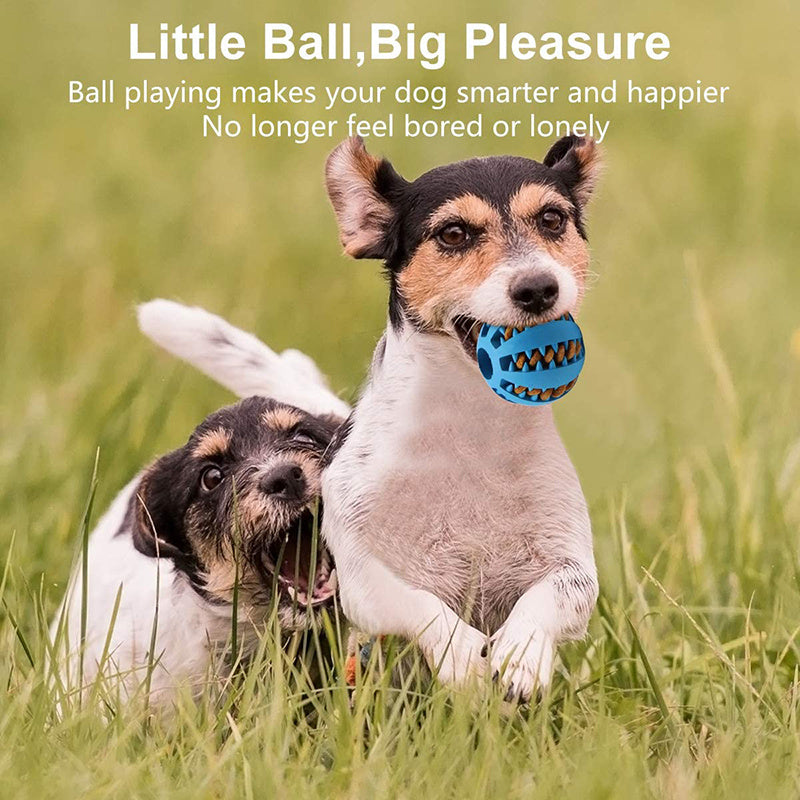 [1PC Interactive Dog Ball Toy] 1PC Dog Ball Toys For Small Dogs Interactive Elasticity Puppy Chew Toy Tooth Cleaning Rubber Food Ball Toy Pet Stuff Accessories