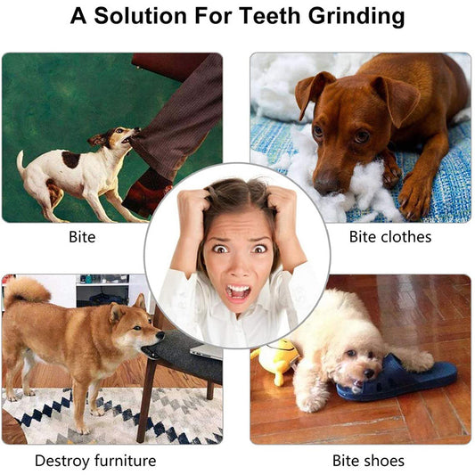 [1PC Interactive Dog Ball Toy] 1PC Dog Ball Toys For Small Dogs Interactive Elasticity Puppy Chew Toy Tooth Cleaning Rubber Food Ball Toy Pet Stuff Accessories