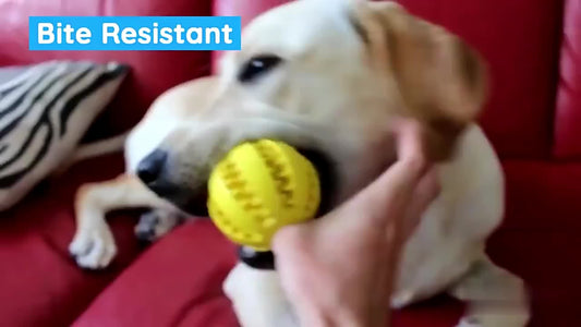 [1PC Interactive Dog Ball Toy] 1PC Dog Ball Toys For Small Dogs Interactive Elasticity Puppy Chew Toy Tooth Cleaning Rubber Food Ball Toy Pet Stuff Accessories